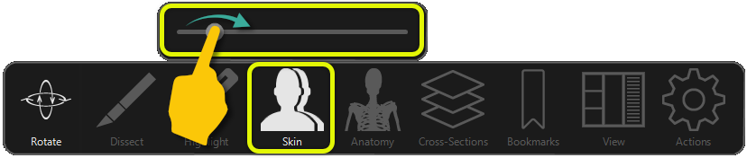 Skin tool